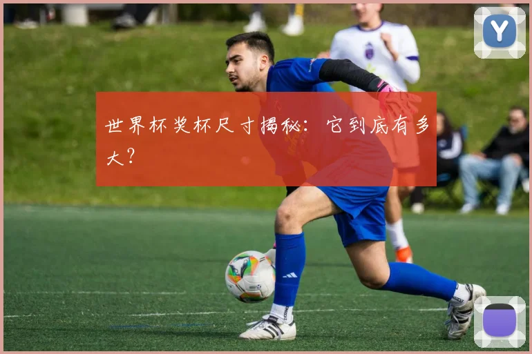 世界杯奖杯尺寸揭秘:它到底有多大?