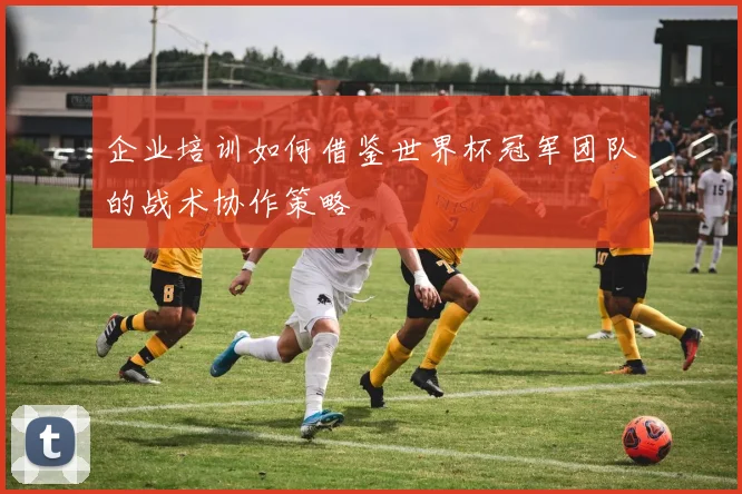 企业培训如何借鉴世界杯冠军团队的战术协作策略