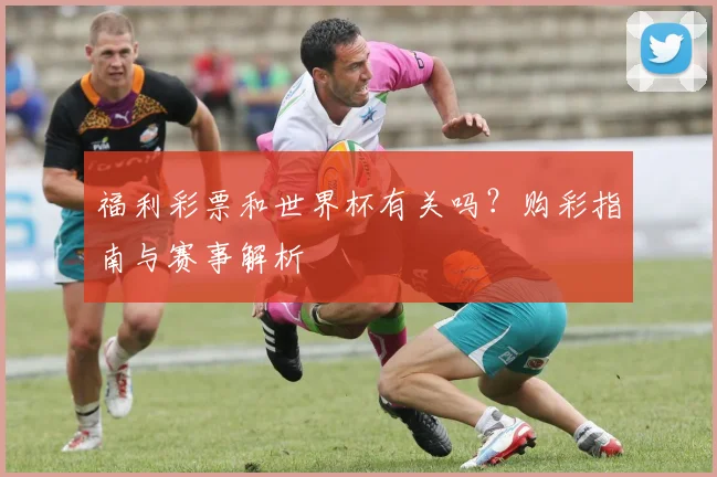 福利彩票和世界杯有关吗？购彩指南与赛事解析